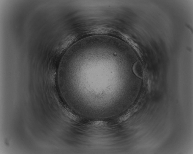 X0000093170153200709261535