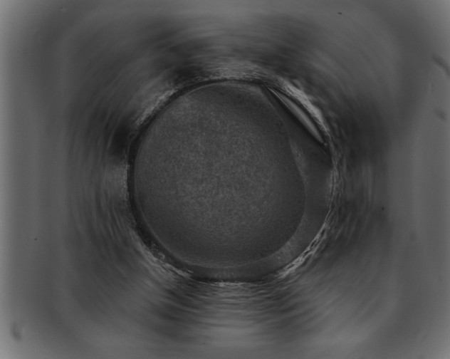 X0000093170154200709261535