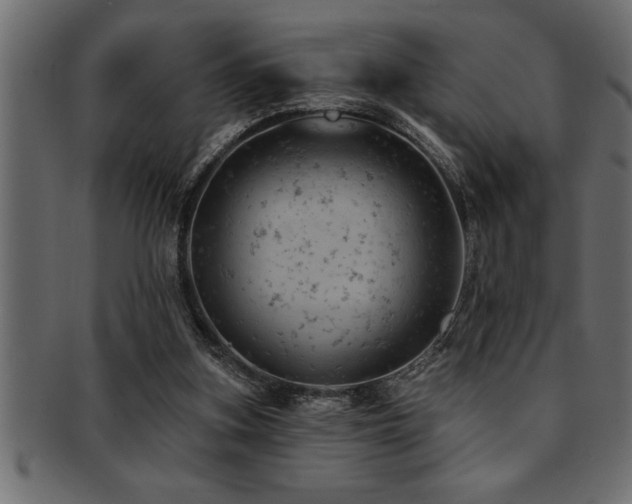 X0000093170155200709261535