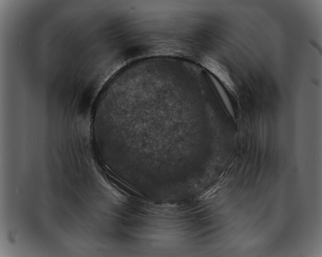 X0000093170156200709261535