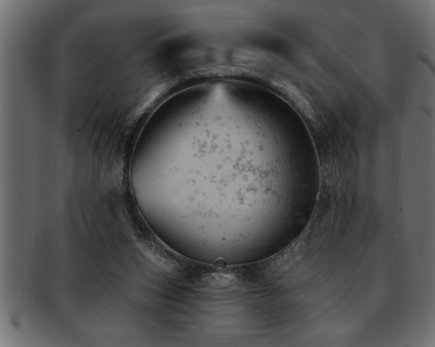 X0000093170159200709261535