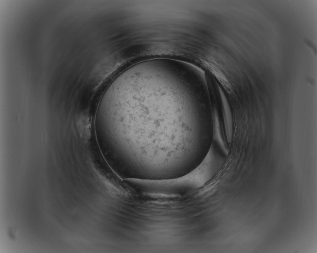 X0000093170160200709261535