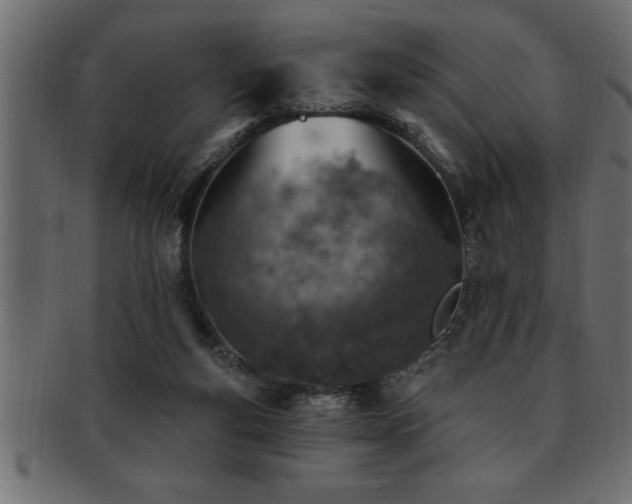 X0000093170163200709261535
