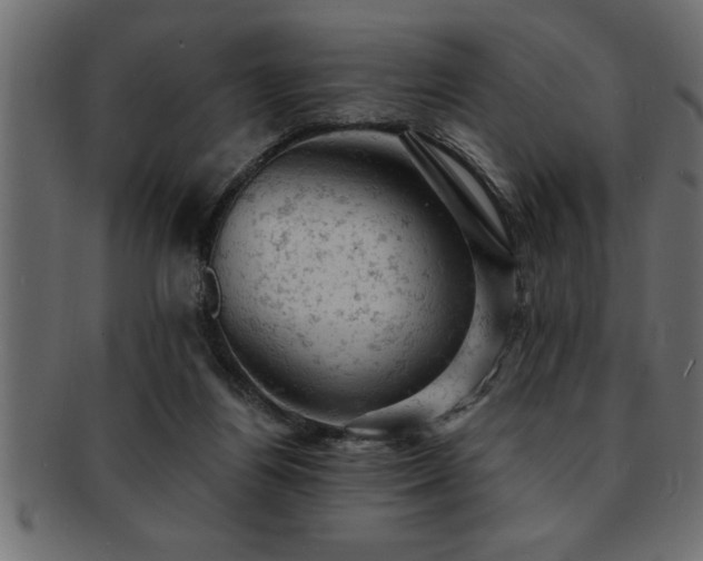 X0000093170164200709261535