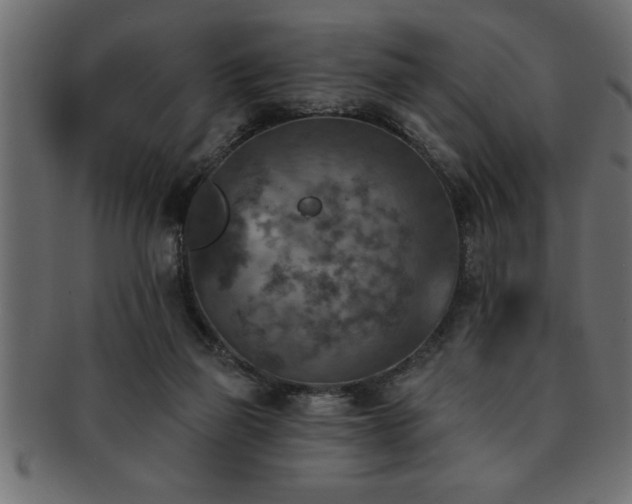 X0000093170165200709261535