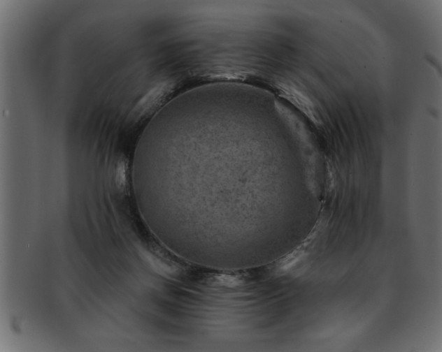 X0000093170166200709261535