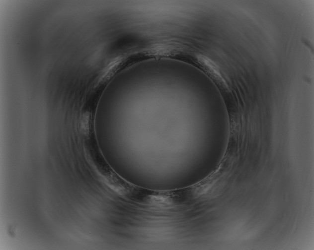 X0000093170167200709261535