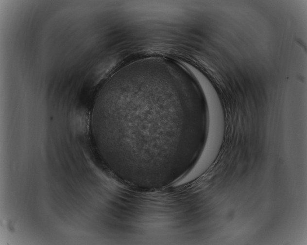 X0000093170168200709261535