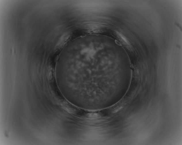 X0000093170169200709261535