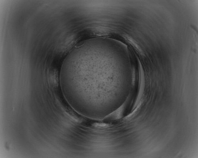 X0000093170170200709261535