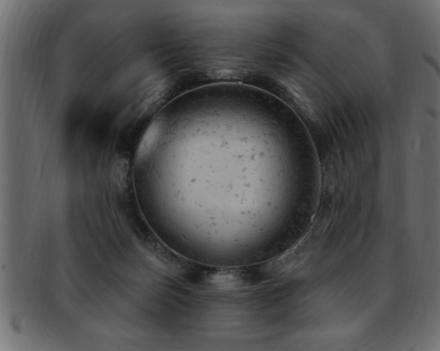X0000093170171200709261535