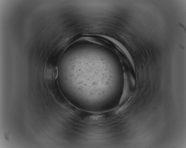 X0000093170172200709261535