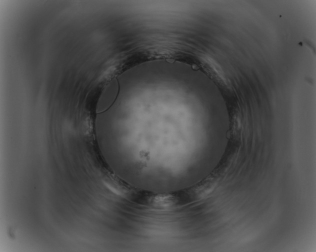 X0000093170173200709261535