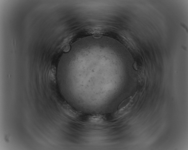 X0000093170175200709261535