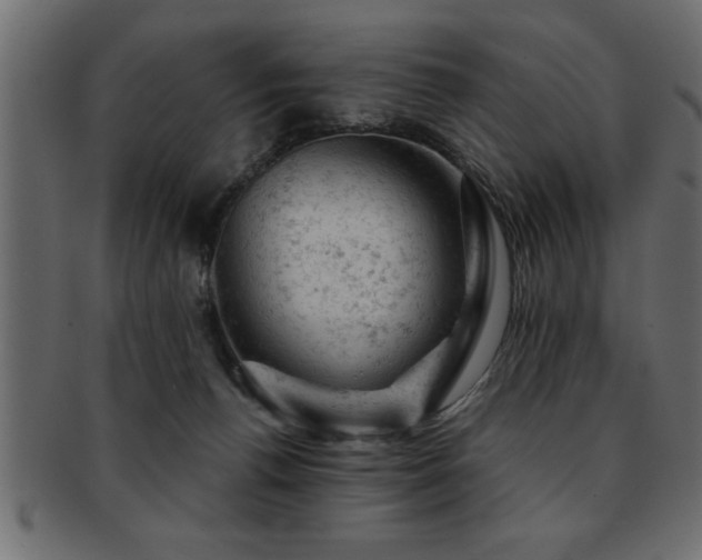 X0000093170176200709261535