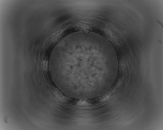 X0000093170177200709261535