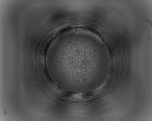 X0000093170178200709261535