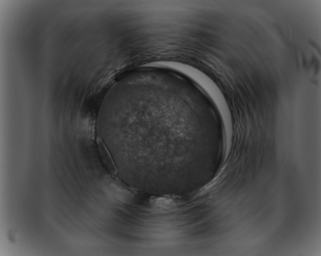X0000093170180200709261535