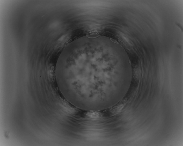 X0000093170181200709261535