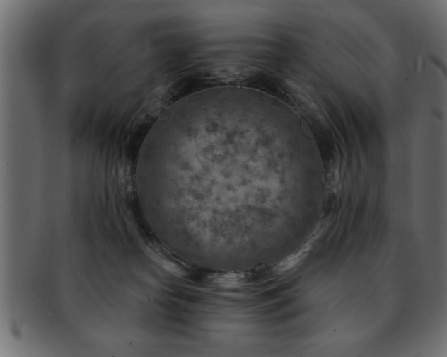 X0000093170182200709261535