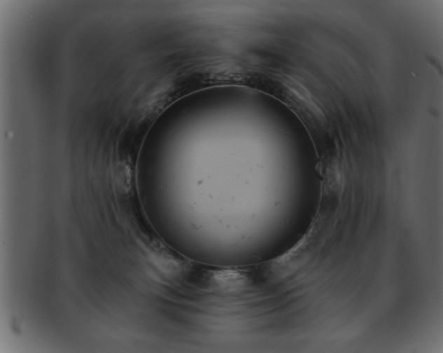 X0000093170183200709261536