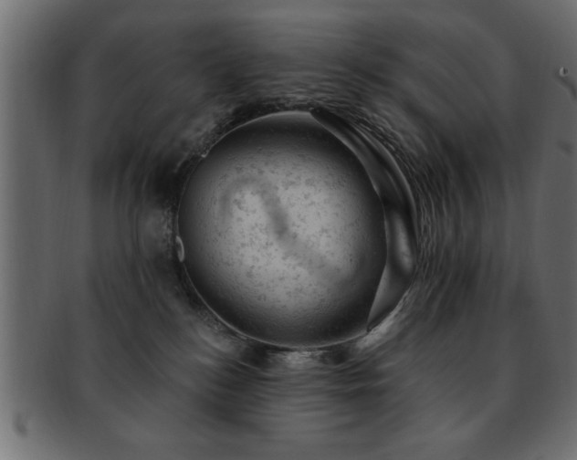 X0000093170184200709261536