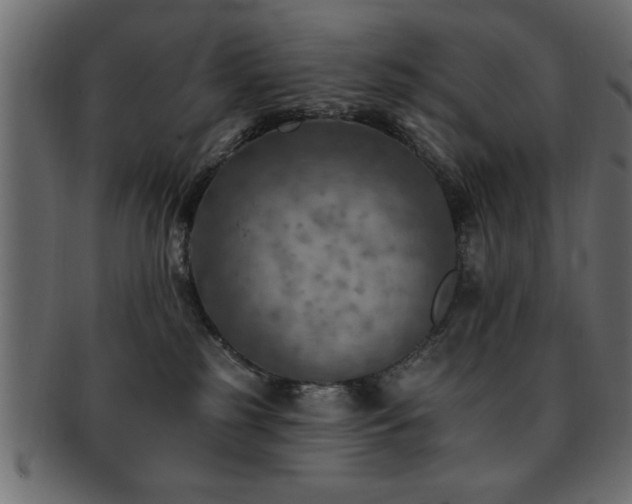 X0000093170185200709261536