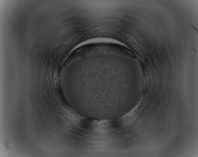 X0000093170186200709261536
