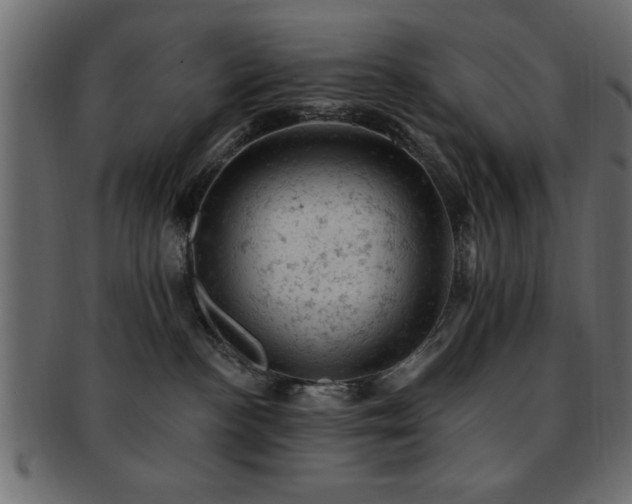 X0000093170188200709261536