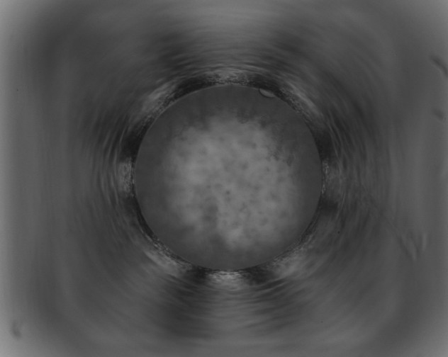 X0000093170189200709261536
