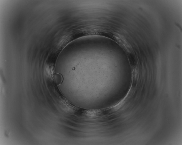 X0000093170190200709261536