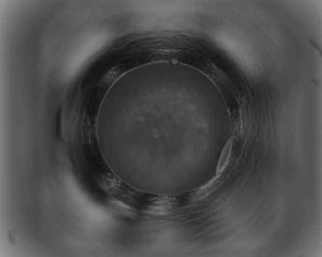 X0000093170191200709261536