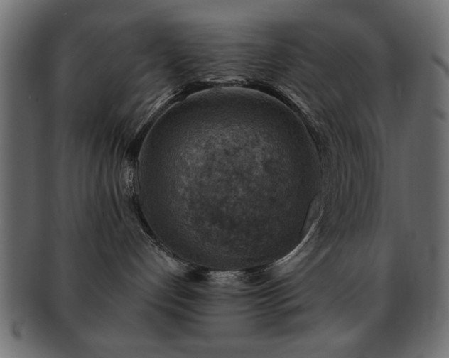 X0000093170192200709261536