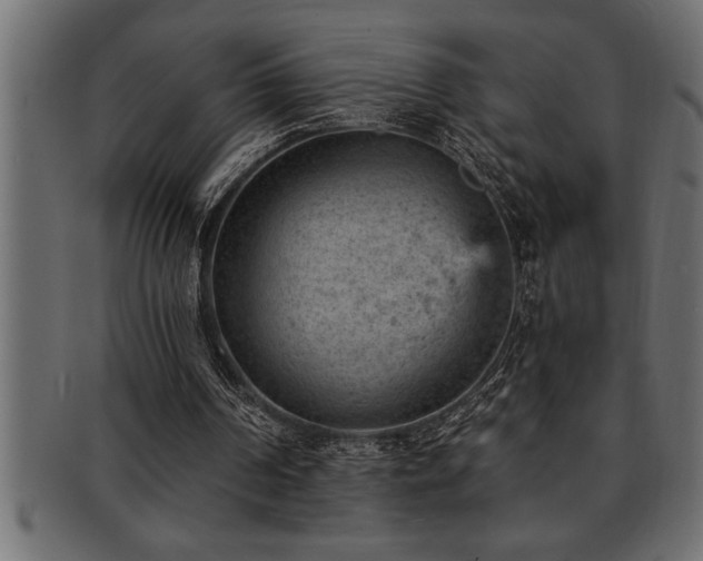X0000093170194200709261535