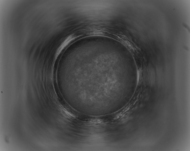 X0000093170195200709261535