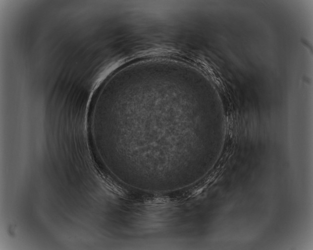 X0000093170196200709261535