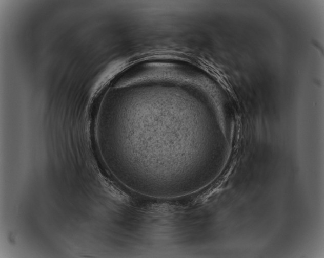 X0000093170197200709261535
