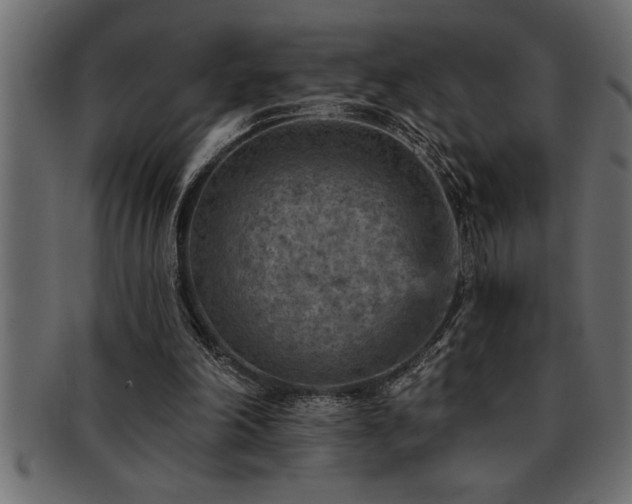 X0000093170198200709261535