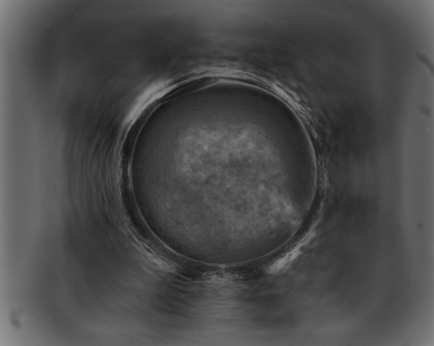 X0000093170199200709261535