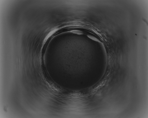 X0000093170200200709261535