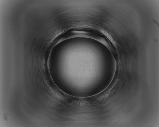 X0000093170201200709261535
