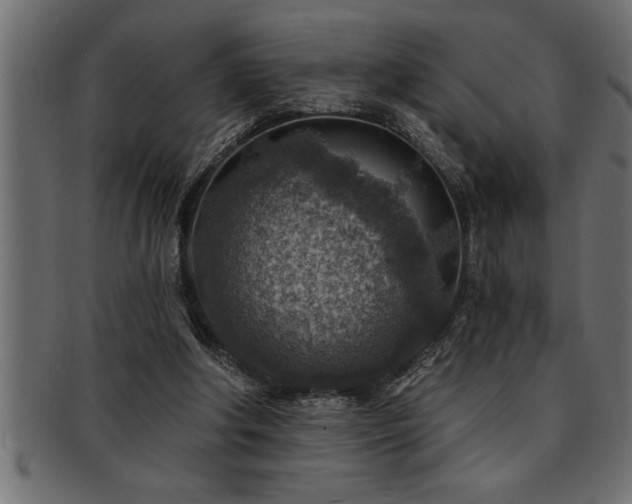 X0000093170202200709261535