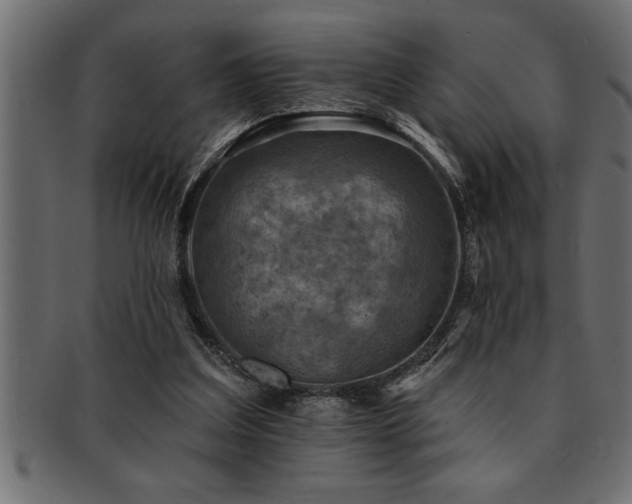 X0000093170203200709261535