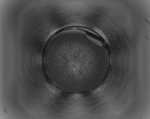 X0000093170204200709261535