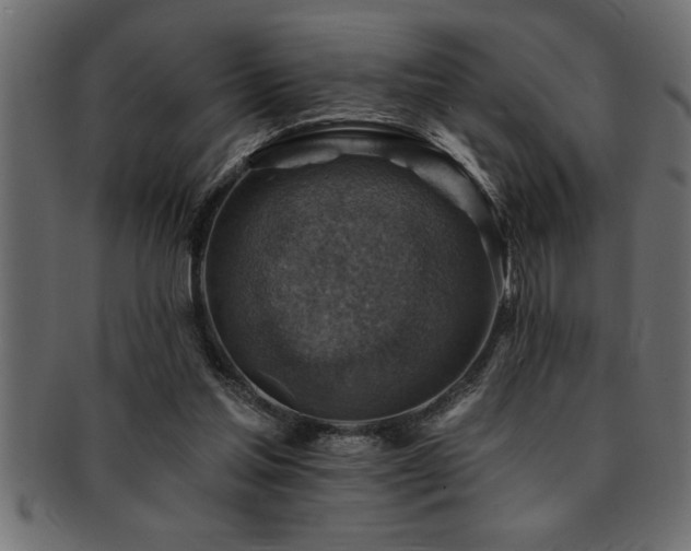 X0000093170205200709261535