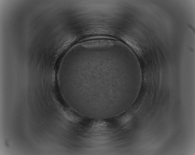 X0000093170206200709261535