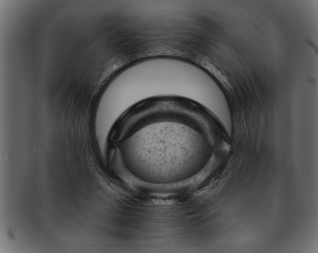 X0000093170207200709261535