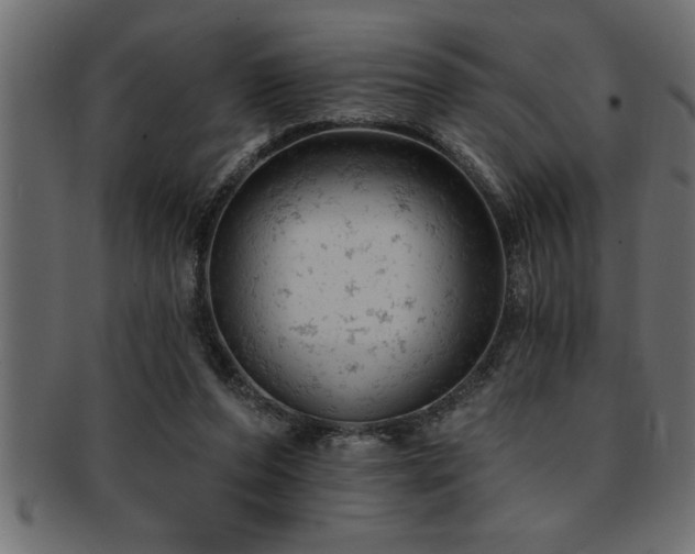 X0000093170208200709261535