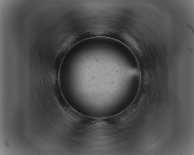 X0000093170210200709261535
