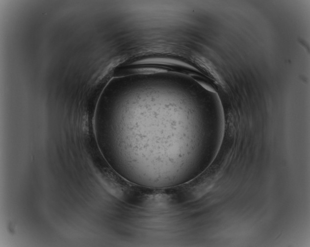 X0000093170212200709261535